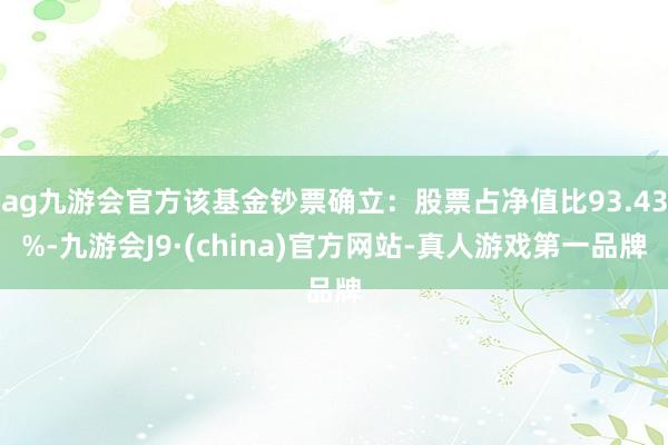 ag九游會官方該基金鈔票確立：股票占凈值比93.43%-九游會J9·(china)官方網站-真人游戲第一品牌