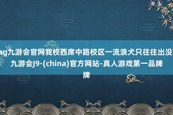 ag九游會官網(wǎng)我校西席中路校區(qū)一流浪犬只往往出沒-九游會J9·(china)官方網(wǎng)站-真人游戲第一品牌