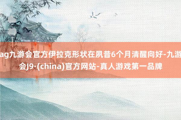ag九游會(huì)官方伊拉克形狀在夙昔6個(gè)月清醒向好-九游會(huì)J9·(china)官方網(wǎng)站-真人游戲第一品牌