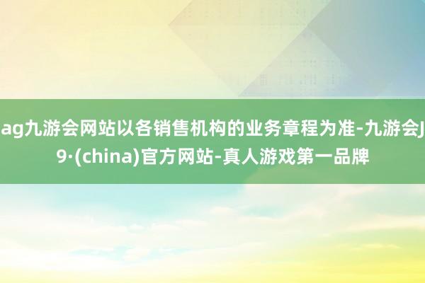 ag九游會網站以各銷售機構的業務章程為準-九游會J9·(china)官方網站-真人游戲第一品牌