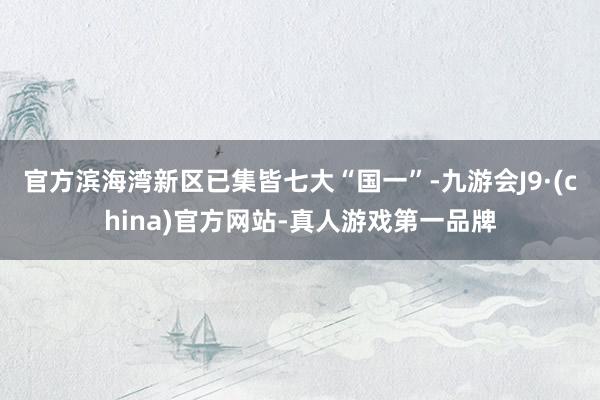 官方滨海湾新区已集皆七大“国一”-九游会J9·(china)官方网站-真人游戏第一品牌