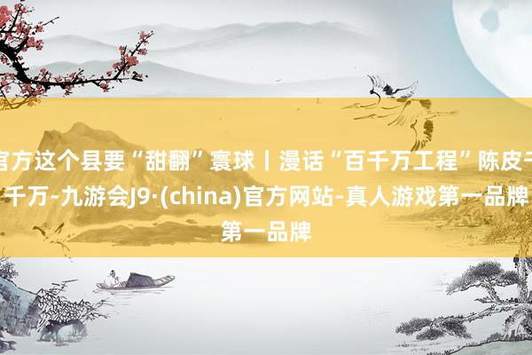 官方这个县要“甜翻”寰球丨漫话“百千万工程”陈皮千千万-九游会J9·(china)官方网站-真人游戏第一品牌