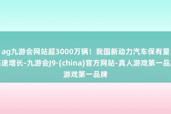 ag九游会网站超3000万辆！我国新动力汽车保有量高速增长-九游会J9·(china)官方网站-真人游戏第一品牌