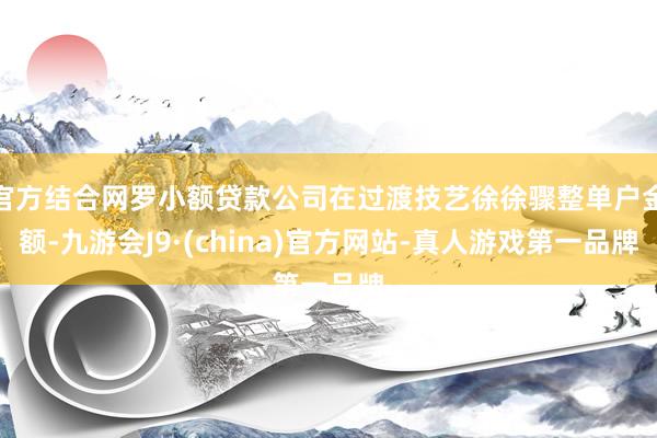 官方结合网罗小额贷款公司在过渡技艺徐徐骤整单户金额-九游会J9·(china)官方网站-真人游戏第一品牌