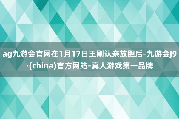 ag九游会官网在1月17日王刚认亲放胆后-九游会J9·(china)官方网站-真人游戏第一品牌