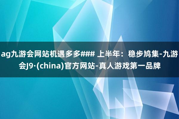 ag九游會網站機遇多多### 上半年：穩步鳩集-九游會J9·(china)官方網站-真人游戲第一品牌